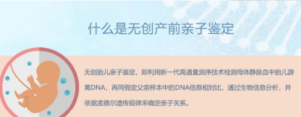 在浙江怀孕期间如何做胎儿亲子鉴定,浙江办理产前亲子鉴定准确可靠吗