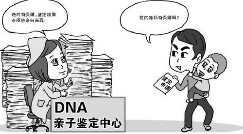 濮阳DNA亲子鉴定结果多久能出来,濮阳隐私亲子鉴定具体的流程